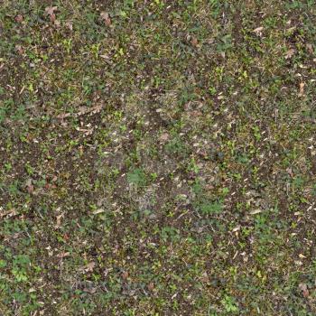 Young Green Plant on Soil. Seamless Tileable Texture.