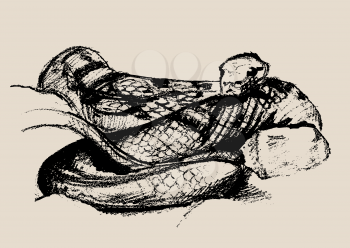 Snake Sketch, Beautiful Terrible Reptile Vector Illustration
