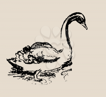 Swan Sketch. Grunge illustration