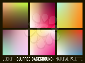 Set of abstract soft blurry background. Flower palette. Smooth colorful banner template collection