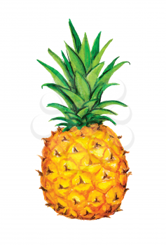 Pineapple icon. Tropical exotic fruit shape pattern. Pineapple hand drawn watercolor vector graphics