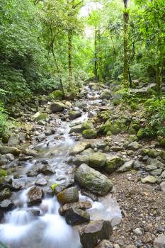 Small river bed in the lush rain forest of Panama with slow shutter showing the flow of the water
