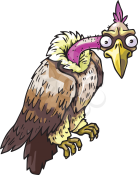 The vector illustration of the aggressive wild vulture staring at camera.