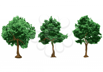 silhouettes of urban trees isolated on white 