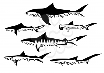 shark species. silhouette of sharks isolated on white