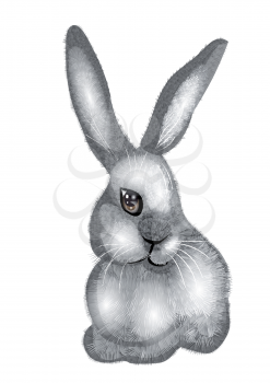 rabbit isolated on a white background,10 EPS