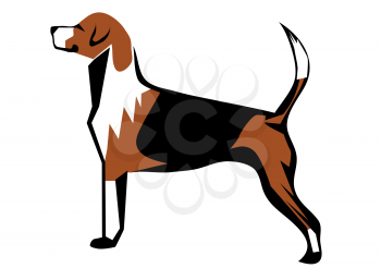 fox hound isolated on a white background