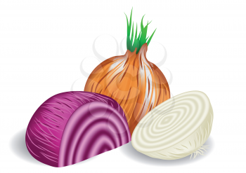 onions in three colors on white background