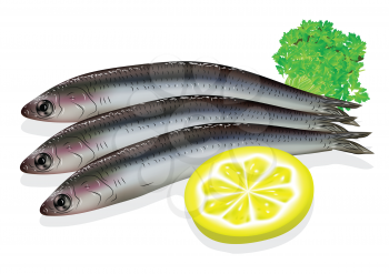 food anchovy with lemon on white background