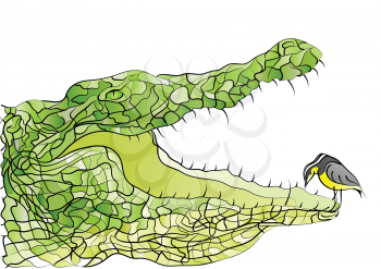 crocodile and bird. abstract decorative animal on white background