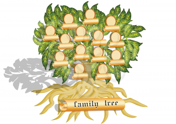 family tree isolated on a white background