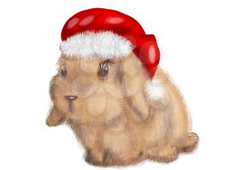rabbit with christmas hat isolated on white background