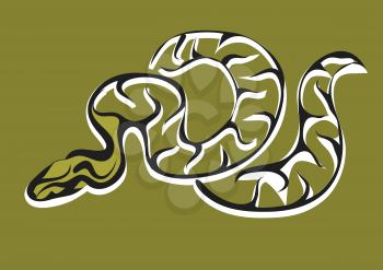 royal python. abstract serpent on gray background