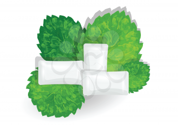 chewing gum with mint on white background