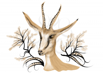 Springbok. animal isolated on a white background