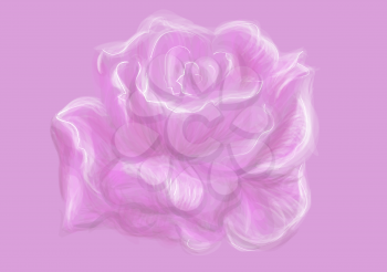 rose background. abstract pink background with blooming rose
