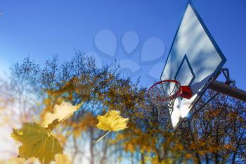 street basketball court and autumn leaves again a blue sky
