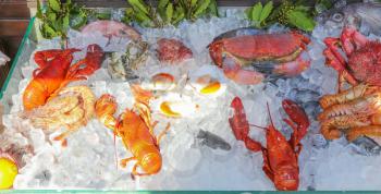 seafood on the ice, Fresh seafood on crushed ice