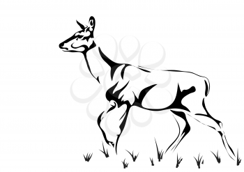 red deer female silhouette isolated on white background