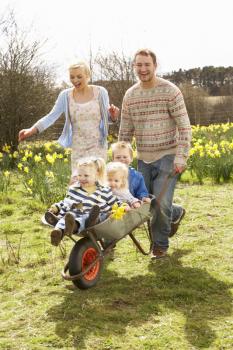 Father Giving Children Ride In Wheelbarrow Through Field Of Spring Daffodils