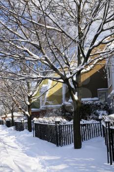 Winter street with lots of snow and colorful houses in Toronto