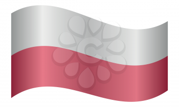 Flag of Poland waving on white background