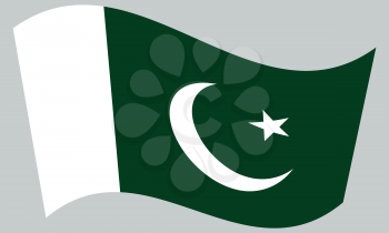 Flag of Pakistan waving on gray background. Pakistani national flag.