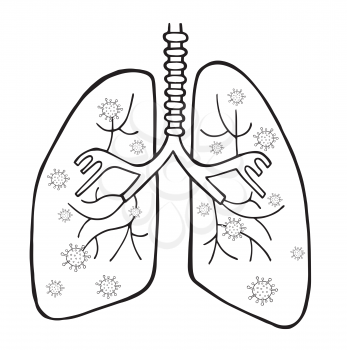 Hand drawn vector illustration of Wuhan corona virus, covid-19. Viruses in the lungs. White background and black outlines.