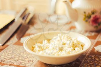 Still Life Cottage Curd Cheese