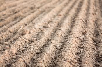 Background Of Newly Plowed Field Ready For New Crops. Ploughed Field In Autumn. Close Focus Farm, Agricultural Background