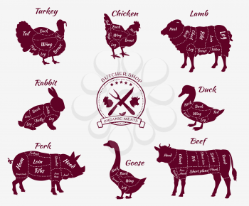 Set a schematic view of animals for butcher shop. Cow and pork, cattle and pig, chicken and lamb, beef and rabbit, duck and swine, goose and turkey, meat illustration