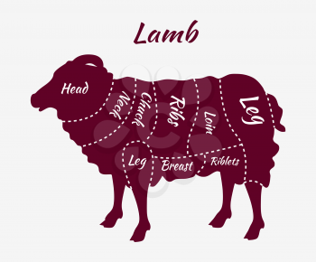 Cuts of lamb. British cuts of lamb or mutton diagram. Butcher cuts scheme of lamb. Lamb or mutton cuts diagram. Detailed diagram, scheme or chart of english UK cut of lamb. Butcher shop