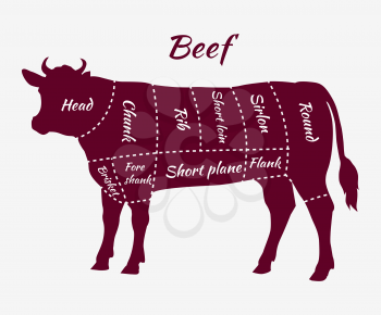 American cuts of beef. Scheme of beef cuts for steak and roast. Butcher cuts scheme. Beef cuts diagram in vintage style. Meat cutting beef. Menu template grilling steaks and cow. Vector illustration