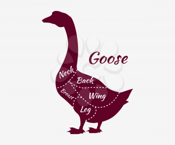 Goose cuts. Diagram or chart for butcher shop. Typographic goose butcher cuts diagram. Animal silhouette goose. Vintage vector illustration. Butcher cuts scheme goose. Diagram guide for goose cutting