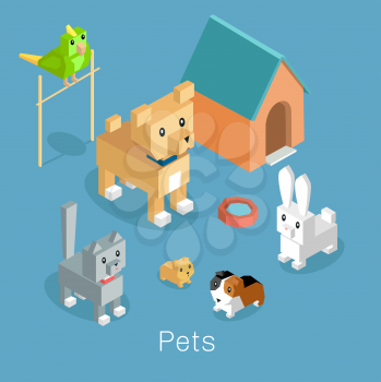 Pets set icon isometric 3d design. Pet and dog, dog and cat, animal cat, group of pets, puppy animal, kitten character, nature domestic pets, fauna hamster parrot and rabbit, guinea pig illustration