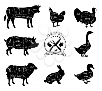 Set a schematic view of animals for butcher shop. Cow and pork, cattle and pig, chicken and lamb, beef and rabbit, duck and swine, goose and turkey, meat illustration. Vector meat cuts