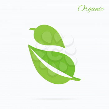Organic logo green leaf design flat. Nature leaf logo, organic label eco, natural leaf plant, bio health label vector illustration
