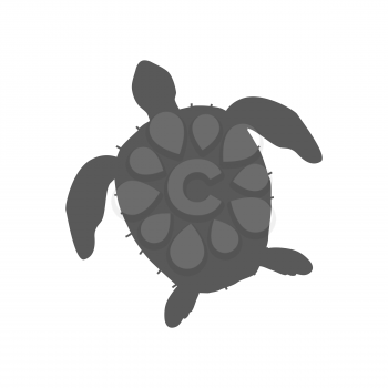 Turtle isolated on white background design flat. Tortoise with a big black carapace. The head and fins are covered with turtles speckled pattern. Creature  wildlife of wold world. Vector illustration