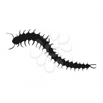 Centipede insect design black isolated. Longest insect with many legs isolated on white background. Poisonous centipede with tentacles and antennas being of wildlife in flat style. Vector illustration