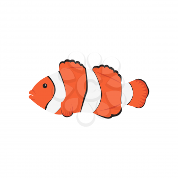 Clown fish cartoon. Tropical sea life theme. Cute orange fish vector illustration isolated
