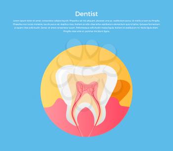 Dental care tooth icon. Dentist concept. Vector illustration