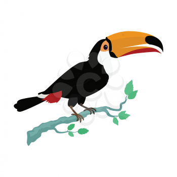 Toucan vector. Animals of rainy Amazonian forests in flat design. Fauna of South America. Wild life in tropics concept for posters, childrens books illustrating. Toucan on branch isolated on white.