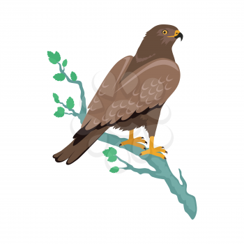 Hawk vector. Predatory birds wildlife concept in flat style design. World fauna illustration for prints, posters, childrens books illustrating. Beautiful hawk seating on brunch isolated on white.