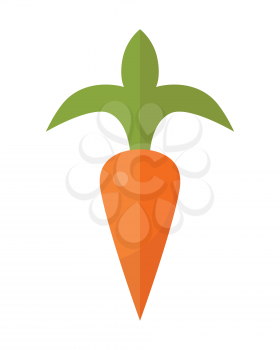 Carrot vector in flat style design. Vegetable illustration for conceptual banners, icons, app pictogram, infographic, and logotype elements. Isolated on white background.     
