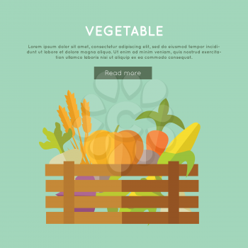 Vegetables vector banner. Flat design. Illustration of wooden box full of fresh farm plants on color background for web design. Farming concept with wheat, pumpkin, corn, beets, carrot 