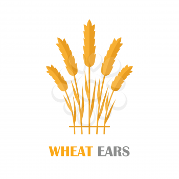 Wheat Ears vector banner in flat style design. New harvest, grain growing concept. Illustration for bakery, bread store, agricultural company logo design. Ripe ears with text on white background.   