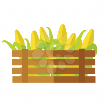 Fresh corn at the market vector. Flat style design. Delivery farm products, grocery store assortment, foods for diet concept. Illustration of wooden box full of ripe cereals. Isolated on white.