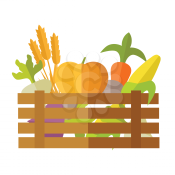 Fresh vegetables at the market vector. Flat design. Delivery farm products, grocery store assortment, foods for diet concept. Illustration of wooden box full of ripe pumpkin, carrot, corn, wheat, beet