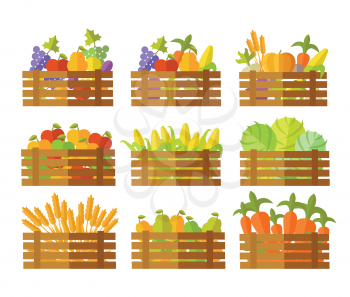 Set of farming products vector illustrations. Wooden boxes full of fruits, vegetables, cereals. Flat design. Collection for delivery farm products, grocery store assortment, foods for diet concepts. 