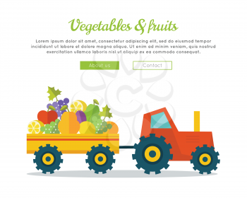 Vegetables fruits concept banner. Flat design. Delivering fresh products from farm to market. Tractor with trailer carries greens. Template for farmer, shop, transport company web page. 